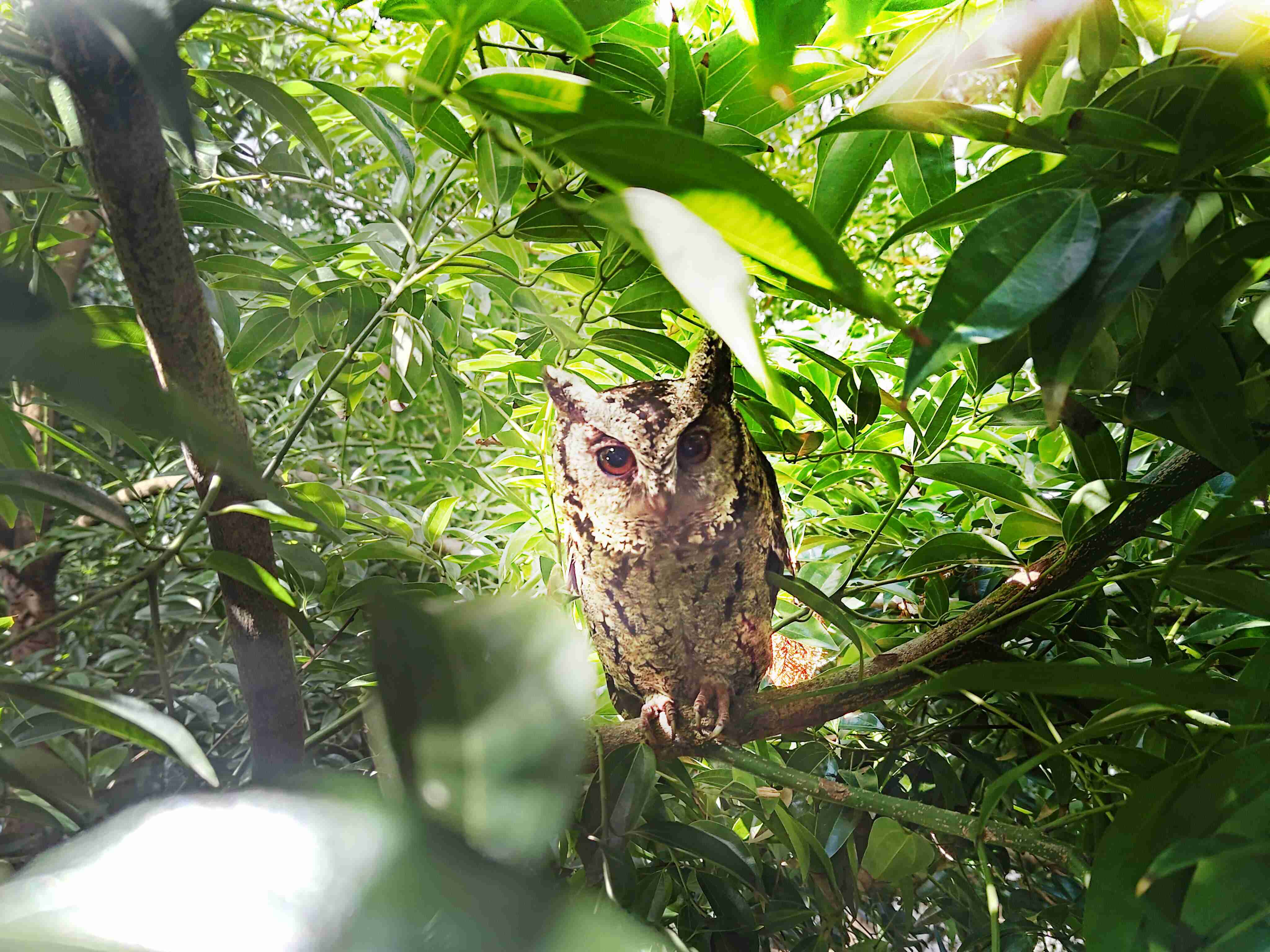 人生就是博致力提倡净零绿生活，，，16年以来在全球各厂区植树逾百万棵，，，，造就各厂区树木蔚然成林，，，犹如森林工厂，，，，成为许多生物的栖息地